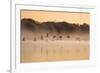 Canada Geese, Branta Canadensis, Fly over Pen Ponds in Richmond Park in Autumn-Alex Saberi-Framed Photographic Print