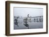 Canada Geese (Branta Canadensis) Standing on Frozen Lake-Terry Whittaker-Framed Photographic Print