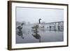 Canada Geese (Branta Canadensis) Standing on Frozen Lake-Terry Whittaker-Framed Photographic Print