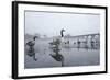 Canada Geese (Branta Canadensis) Standing on Frozen Lake-Terry Whittaker-Framed Photographic Print