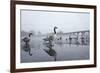 Canada Geese (Branta Canadensis) Standing on Frozen Lake-Terry Whittaker-Framed Photographic Print