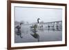 Canada Geese (Branta Canadensis) Standing on Frozen Lake-Terry Whittaker-Framed Photographic Print