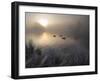 Canada Geese, Branta Canadensis, Taking a Morning Swim on a Pond-Alex Saberi-Framed Photographic Print