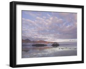 Canada Geese, Derwent Water, Lake District National Park, Cumbria, England, United Kingdom-Neale Clarke-Framed Photographic Print