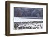 Canada Geese Flock on Frozen Lake, Marion, Illinois, Usa-Richard ans Susan Day-Framed Photographic Print