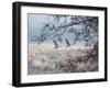 Canada Geese Flying Though a Wintery Richmond Park-Alex Saberi-Framed Premium Photographic Print
