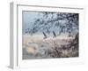 Canada Geese Flying Though a Wintery Richmond Park-Alex Saberi-Framed Photographic Print