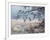 Canada Geese Flying Though a Wintery Richmond Park-Alex Saberi-Framed Photographic Print