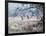 Canada Geese Flying Though a Wintery Richmond Park-Alex Saberi-Framed Photographic Print