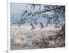 Canada Geese Flying Though a Wintery Richmond Park-Alex Saberi-Framed Photographic Print