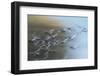 Canada Geese flying-Ken Archer-Framed Photographic Print