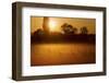 Canada Geese, Misty Dawn-Ken Archer-Framed Photographic Print