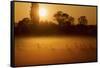 Canada Geese, Misty Dawn-Ken Archer-Framed Stretched Canvas