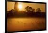 Canada Geese, Misty Dawn-Ken Archer-Framed Photographic Print