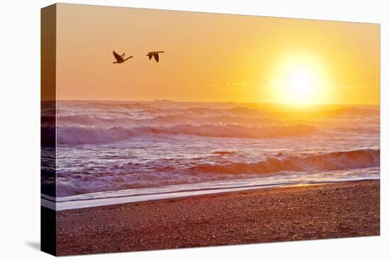 Canada Geese over Rialto Beach at Sunset, Olympic NP, Washington, USA-Jaynes Gallery-Stretched Canvas