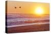 Canada Geese over Rialto Beach at Sunset, Olympic NP, Washington, USA-Jaynes Gallery-Stretched Canvas
