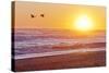 Canada Geese over Rialto Beach at Sunset, Olympic NP, Washington, USA-Jaynes Gallery-Stretched Canvas