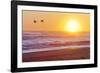 Canada Geese over Rialto Beach at Sunset, Olympic NP, Washington, USA-Jaynes Gallery-Framed Photographic Print