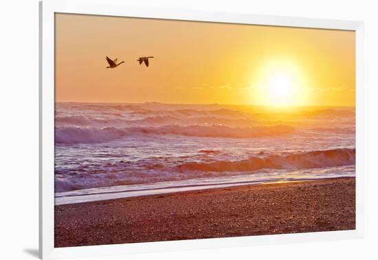 Canada Geese over Rialto Beach at Sunset, Olympic NP, Washington, USA-Jaynes Gallery-Framed Photographic Print