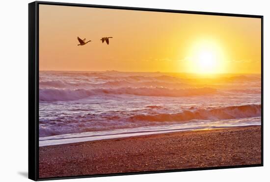 Canada Geese over Rialto Beach at Sunset, Olympic NP, Washington, USA-Jaynes Gallery-Framed Stretched Canvas