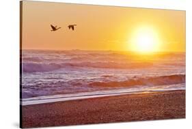 Canada Geese over Rialto Beach at Sunset, Olympic NP, Washington, USA-Jaynes Gallery-Stretched Canvas