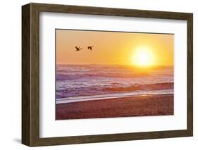 Canada Geese over Rialto Beach at Sunset, Olympic NP, Washington, USA-Jaynes Gallery-Framed Photographic Print