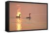 Canada Geese Pair at Sunrise-null-Framed Stretched Canvas