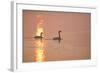 Canada Geese Pair at Sunrise-null-Framed Photographic Print