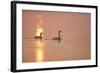 Canada Geese Pair at Sunrise-null-Framed Photographic Print