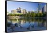 Canada Geese Resting at a Lake with Skyline, Calgary, Alberta, Canada-Peter Adams-Framed Stretched Canvas