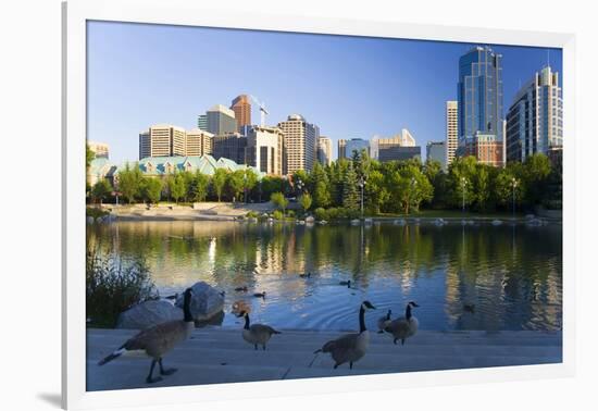 Canada Geese Resting at a Lake with Skyline, Calgary, Alberta, Canada-Peter Adams-Framed Photographic Print