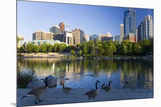 Canada Geese Resting at a Lake with Skyline, Calgary, Alberta, Canada-Peter Adams-Mounted Premium Photographic Print