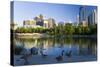 Canada Geese Resting at a Lake with Skyline, Calgary, Alberta, Canada-Peter Adams-Stretched Canvas