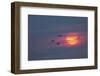 Canada geese silhouetted flying at sunset, Grand Teton National Park, Wyoming-Adam Jones-Framed Photographic Print