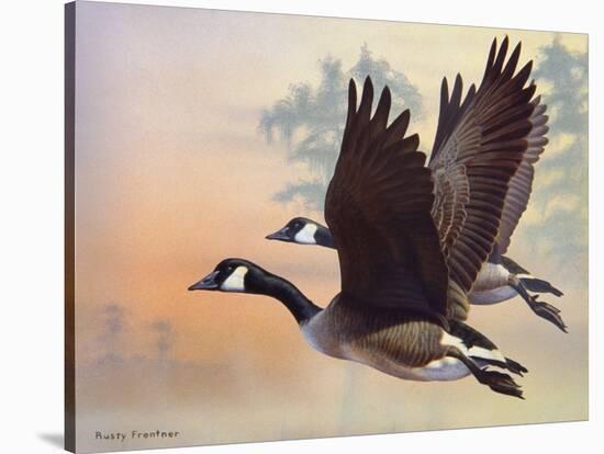 Canada Geese-Rusty Frentner-Stretched Canvas