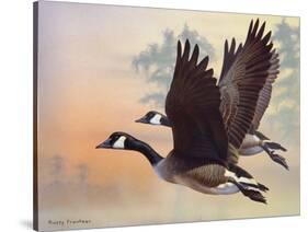 Canada Geese-Rusty Frentner-Stretched Canvas