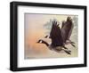 Canada Geese-Rusty Frentner-Framed Giclee Print