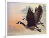 Canada Geese-Rusty Frentner-Framed Giclee Print