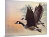 Canada Geese-Rusty Frentner-Mounted Giclee Print