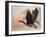 Canada Geese-Rusty Frentner-Framed Giclee Print