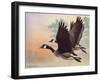 Canada Geese-Rusty Frentner-Framed Giclee Print