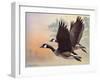 Canada Geese-Rusty Frentner-Framed Giclee Print