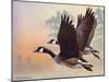 Canada Geese-Rusty Frentner-Mounted Giclee Print