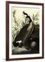 Canada Geese-John James Audubon-Framed Giclee Print