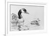 Canada Goose and Baby-Rusty Frentner-Framed Giclee Print