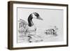 Canada Goose and Baby-Rusty Frentner-Framed Giclee Print