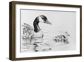 Canada Goose and Baby-Rusty Frentner-Framed Giclee Print