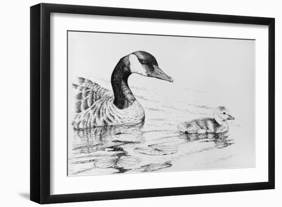 Canada Goose and Baby-Rusty Frentner-Framed Giclee Print