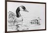 Canada Goose and Baby-Rusty Frentner-Framed Giclee Print