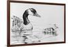 Canada Goose and Baby-Rusty Frentner-Framed Giclee Print